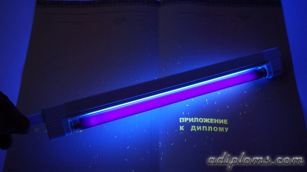 Диплом бакалавра 2014-2026 Фото