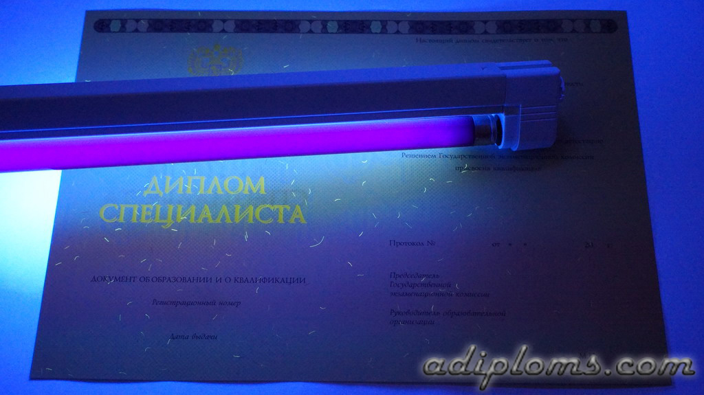Диплом специалиста 2014-2026 Фото